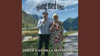 Video thumbnail of "Johan Sigvardsson - An evening prayer"