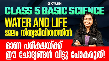Class 5 Basic Science | Water and Life - ജലം നിത്യജീവിതത്തിൽ | Onam Exam Special | Xylem Class 5