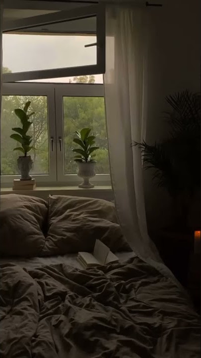 تلاوة جديدة بصوت القارئ عبدالرحمن مسعد❤️ | حالات واتس اب دينية