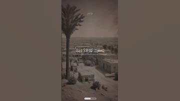 قارئ الشيخ محمد صديق المنشاوي، سورة القصص #اكسبلور #المصحف #shortvideo #راحة_نفسية #حالات_واتس