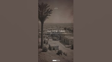 قارئ الشيخ محمد صديق المنشاوي، سورة القصص #اكسبلور #المصحف #shortvideo #راحة_نفسية #حالات_واتس