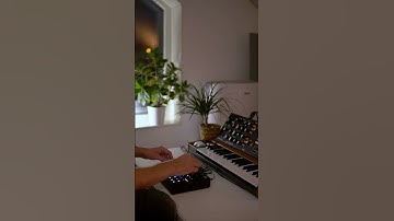 Syntakt sequencing the Poly D #shorts