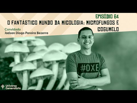 Vídeo: Por que o cogumelo cresce após um incêndio?