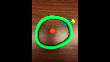 Paracrine v. Juxtacrine Signaling in Developmental Biology Claymation