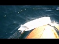 Sailbuoy collision test