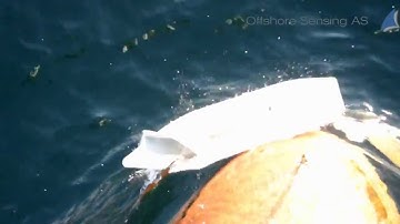 Sailbuoy collision test