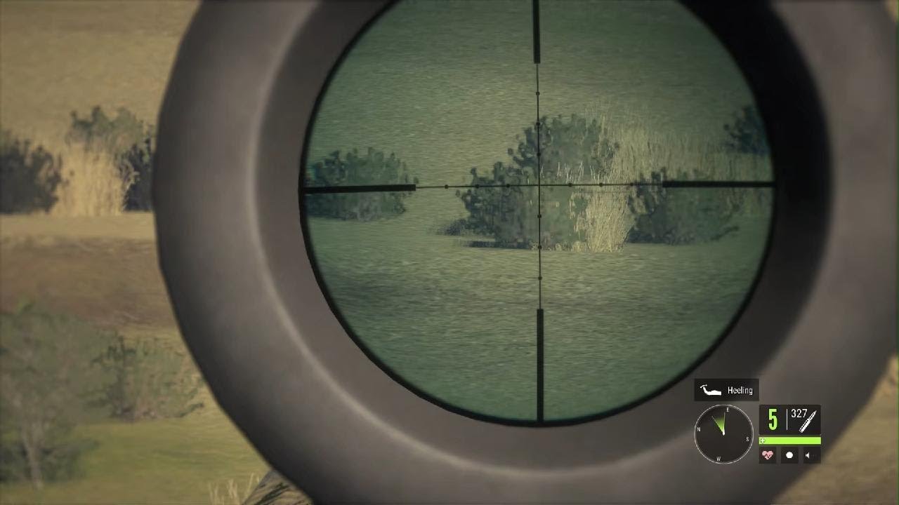 I HUNTED A DEADLY LION😨🦁