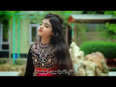 شيلة بنت اليمن