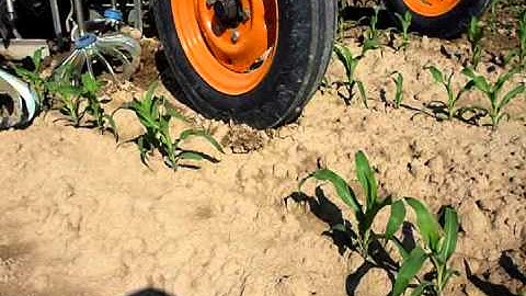 ROTOSARK BINEUSE WEEDING MACHINE DESYERBADORA HACKMASCHINE