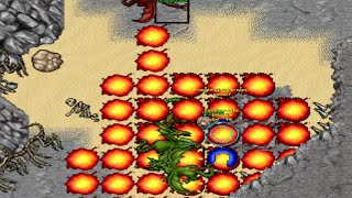 (EXP) 65 MS solo Dragon Lord without SDs. Pain to watch. (Celesta 2006 - RL TIBIA 7.6) Evil Chap
