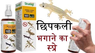 Herbal Lizard Repellent Spray | छिपकली भगाने का स्प्रे | Medicine Store