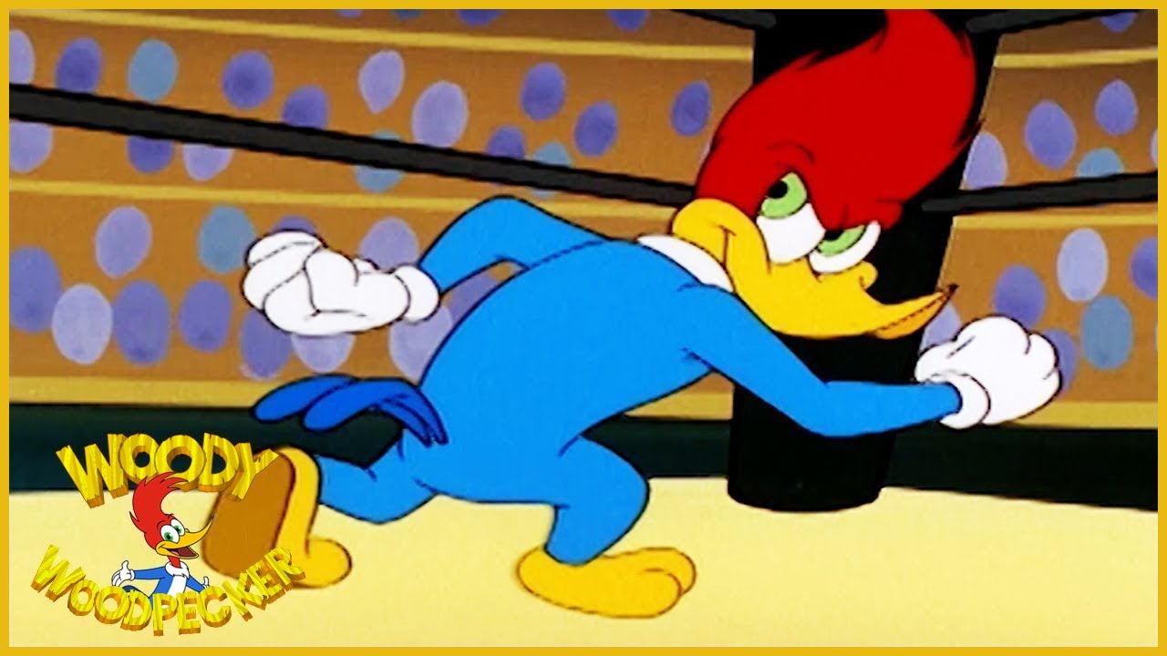 Woody Woodpecker Show The Contender 1 Hour Compilation Videos For