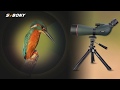 Svbony SV406 20-60x80 Birding Scope