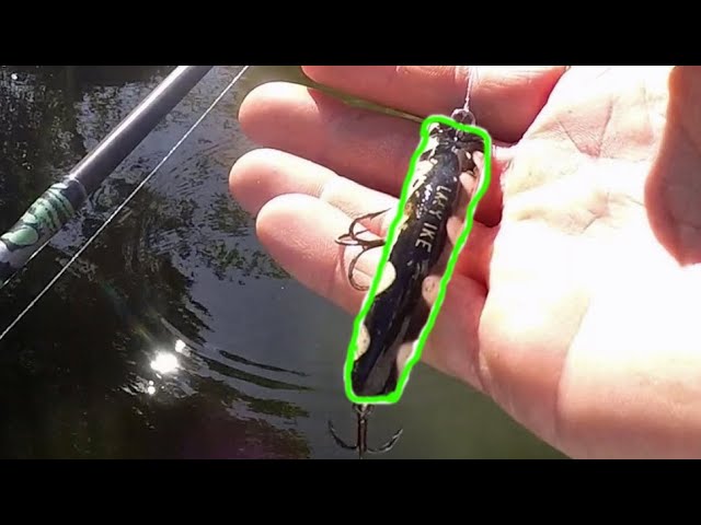 billie eilish fish lure meme Biliie Ilish Fish Meme