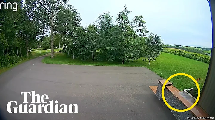 Rare footage captures meteorite descending to earth on doorbell camera