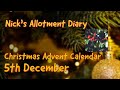 Christmas Advent Calendar - 5th December - Holly