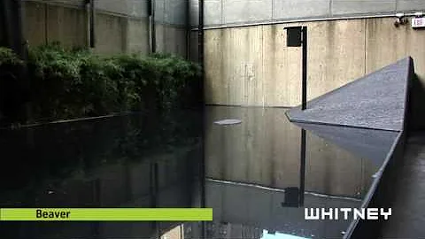 Fritz Haeg: 2008 Whitney Biennial - Whitney Museum