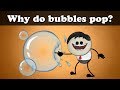 Why do bubbles pop  mores  aumsum kids science education children