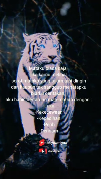 story wa macan putih terbaru 2022😎 l 1 vs 5 #shorts #status #attitudestatus #story