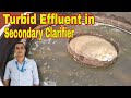 Turbidity of Effluent | Water leaving the secondary clarifier is cloudy and turbid | science classes