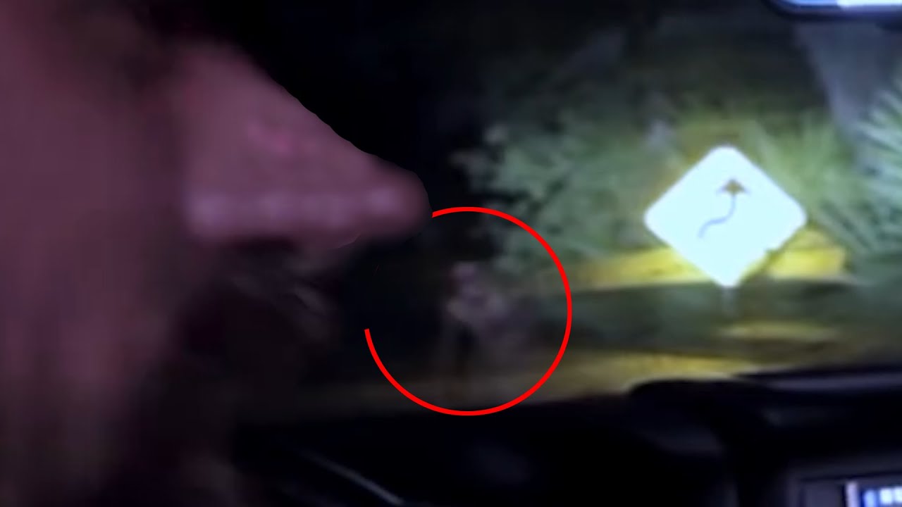The 5 Second Ghost Clip - Real Or Fake?