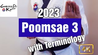 Taekwondo Poomsae 3 with Terminology (2023)