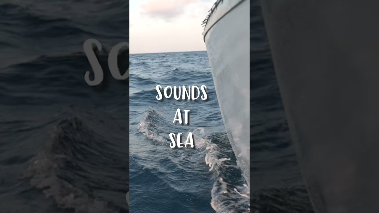 SAILING SOUNDS OF THE SEA | ASMR | #shorts