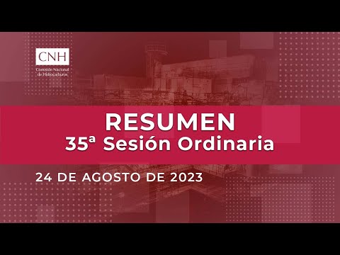 Resumen 35ª Sesión