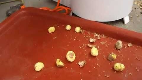 Chestnut shelling machine, chestnut peeling machine