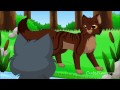 Beginning of video