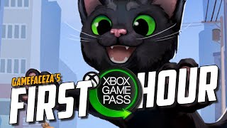 Is this the BEST cat game ??⏰Little Kitty, Big City / My First Hour / Xbox Game Pass Gameplay