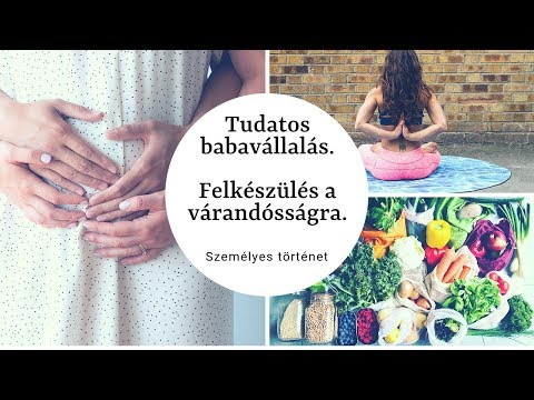 Videó: Hogyan Készítsünk Félkész Szeleteket