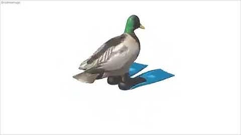 Duck Spinning to Geometry Dash Practice Mode Theme But It