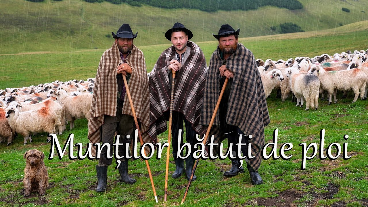 Andrei Calotă - Munților bătuți de ploi