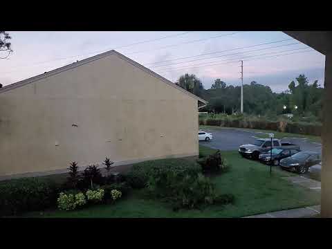 Slow motion bat flight #100 #2022 #2021 #tupac #batman #darkknight #usa #usarmy