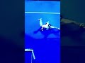 FIH PRO LEAGUE MEN CAPTAN INDIA HOCKEY TEAM HARMANPEET SINGH DA GOLE 