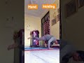 hand balance #song #music #love #motivation #yogaasanas