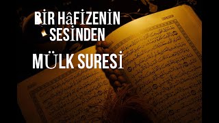 Mülk suresi Tilaveti | Bir Hâfizenin sesinden Resimi