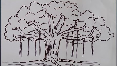 How to draw a banyan tree | how to draw a tree | easy tree drawing for beginners