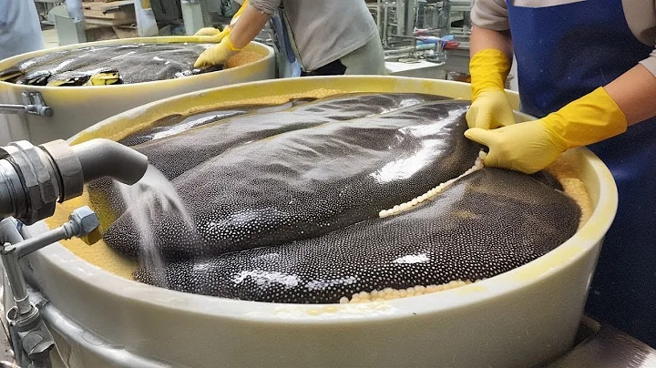 Inside The Farm Of Caviar Fish : How Caviar Is Made (Farm To Table) Full Process