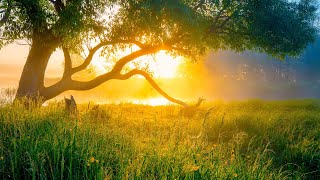 Beautiful Relaxing Hymns, Peaceful Instrumental Music, "Monday Morning Sunrise" By Tim Janis screenshot 4