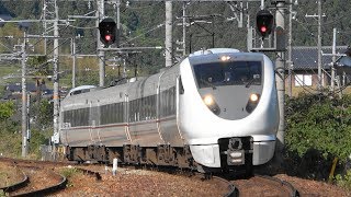 2019/05/17 5087M 特急 はしだて7号 289系(FG403編成)