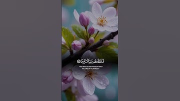 تلاوة خاشعه اسمع بقلبك 🍂🎧 #quran #قرآن #تلاوة_خاشعة #راحة_نفسية #اكسبلور #المصحف #لايك #trending