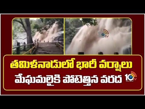తమిళనాడులో భారీ వర్షాలు.. మేఘమలైకి పోటెత్తిన వరద | Meghamalai Waterfall | Heavy Rains In Tamilnadu - 10TVNEWSTELUGU