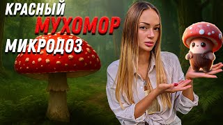 картинка: Мой опыт микродозинга мухомора🍄 ощущения и выводы 