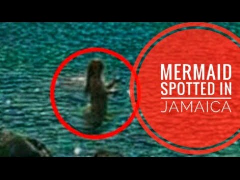 MERMAID SPOTTED IN JAMAICAâ 