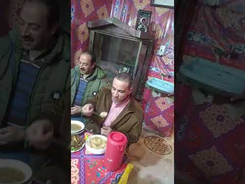 ضيافة ا توفيق وصحبته ومجاله في مسمط الشعراوي