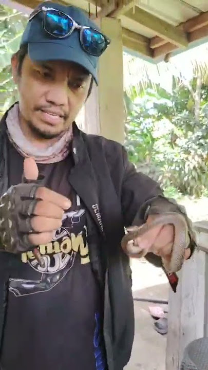 e73bfd8a 41a2 4c82 bd56 9a0d28768799