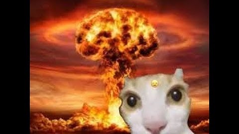 CPT_S 223 extra credit - Bloom Filters