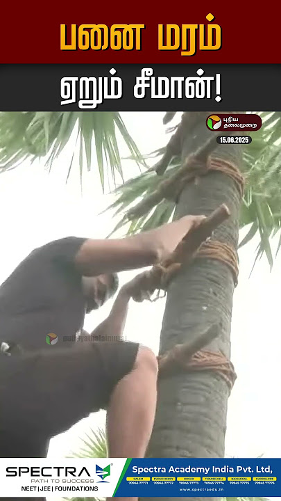 பனை மரம் ஏறும் சீமான்! #seeman #ntk #tiruchendur #seemanism